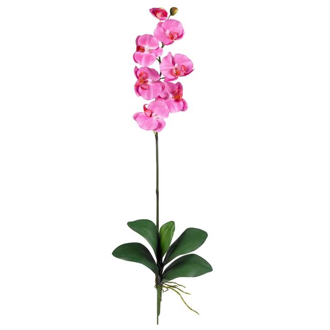 Phalaenopsis Silk Orchid Flower w/Leaves (6 Stems)