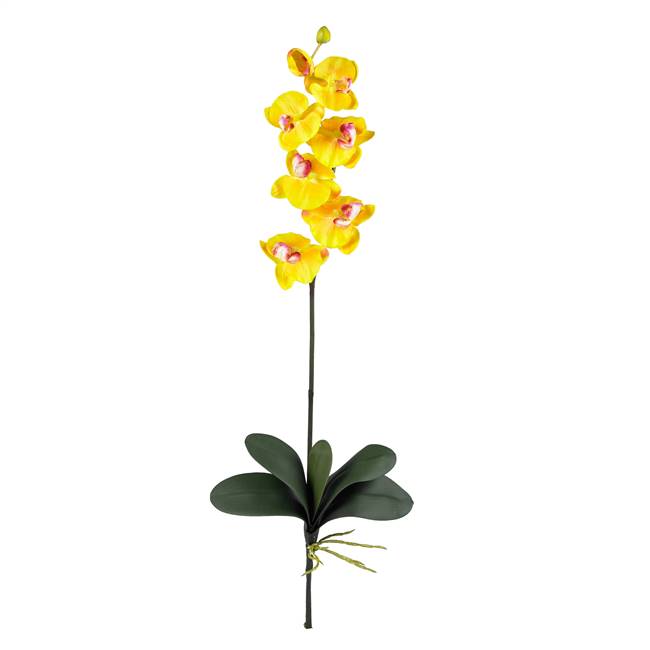 Phalaenopsis Silk Orchid Flower w/Leaves 6 Stems)