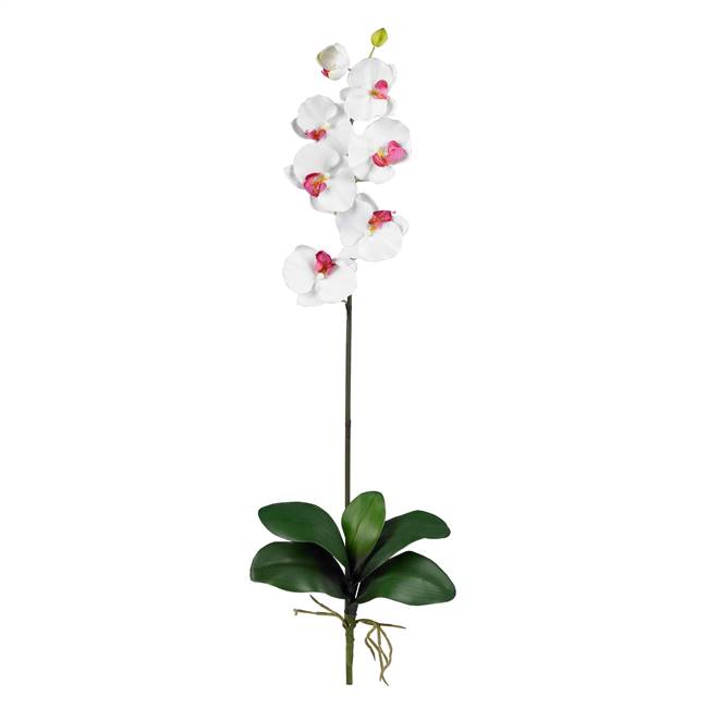 Phalaenopsis Silk Orchid Flower w/Leaves (6 Stems)