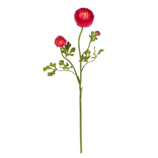 23" Ranunculus Stem (Set of 12)