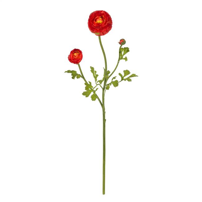 23" Ranunculus Stem (Set of 12)