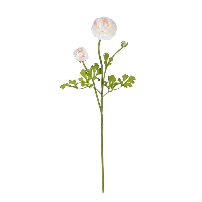 23" Ranunculus Stem (Set of 12)