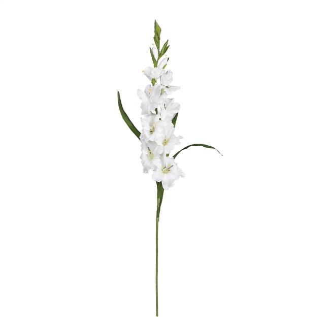 36" Gladiola Stem (Set of 12)