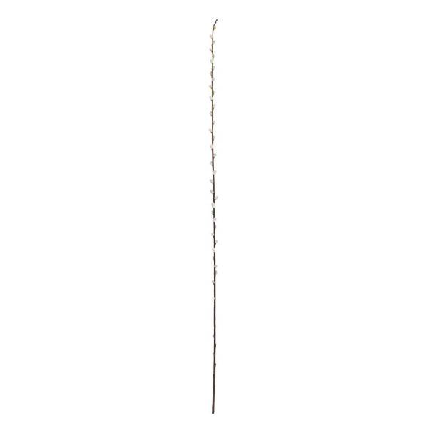 40" Pussy Willow Artificial Flower (Set of 12)