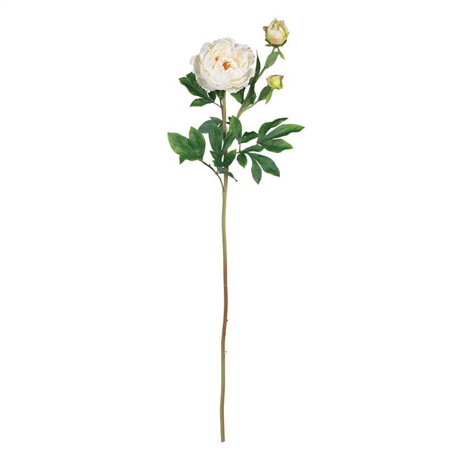 38.5" Peony w/Leaves Stem (Set of 12)