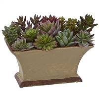 Mixed Succulent Artificial Plant in Vase