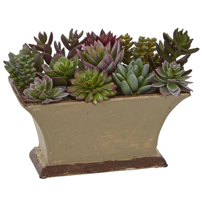 Mixed Succulent Artificial Plant in Vase