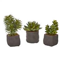 Mixed Succulent Trio Artificial Plant (Set of 3)