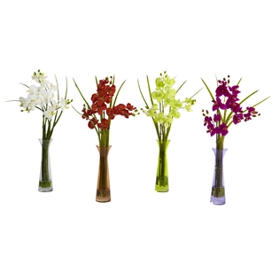 Mini Phal w/Colored Vase (Set of 4)