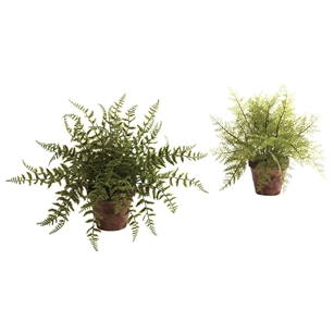 Fern w/Decorative Planter (Set of 2)