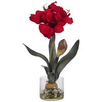 Amaryllis w/Round Vase