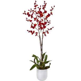 Dancing Orchid w/White Glass Vase