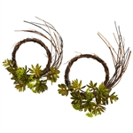 Mixed Succulent Wreath (Set of 2)