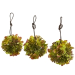 5” Mixed Succulent Hanging Ball (Set of 3)