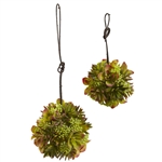 7” & 5” Mixed Succulent Spheres (Set of 2)