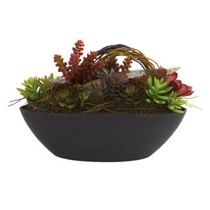 Mixed Succulent w/Oval Black Container