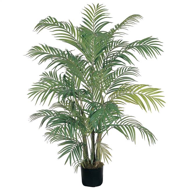 4' Areca Silk Palm Tree