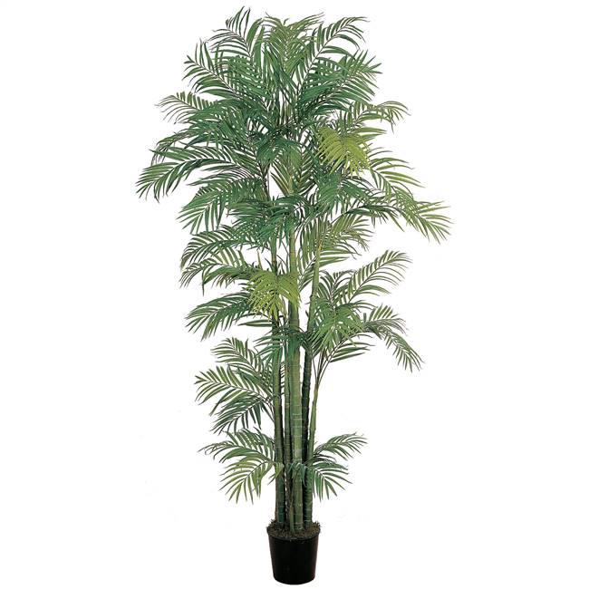 7' Areca Silk Palm Tree