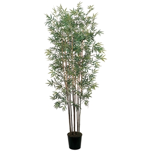 6' Mini Bamboo Silk Tree