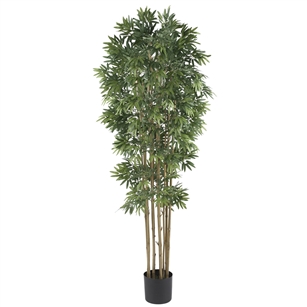 6' Bamboo Japanica Silk Tree