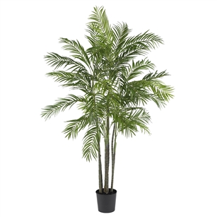 6' Areca Palm Silk Tree