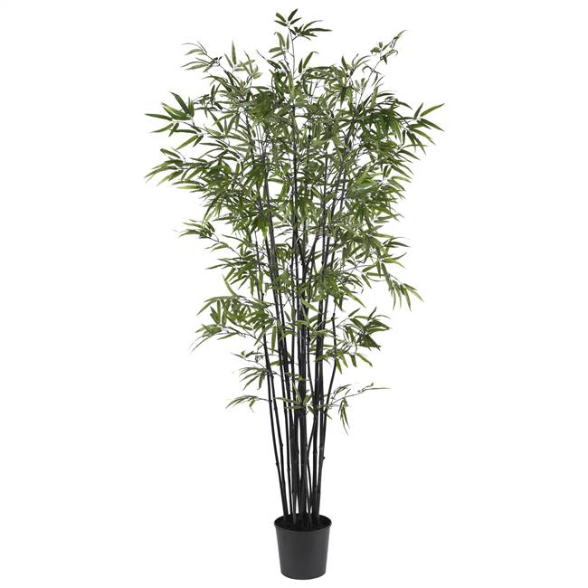 6.5' Black Bamboo Silk Tree