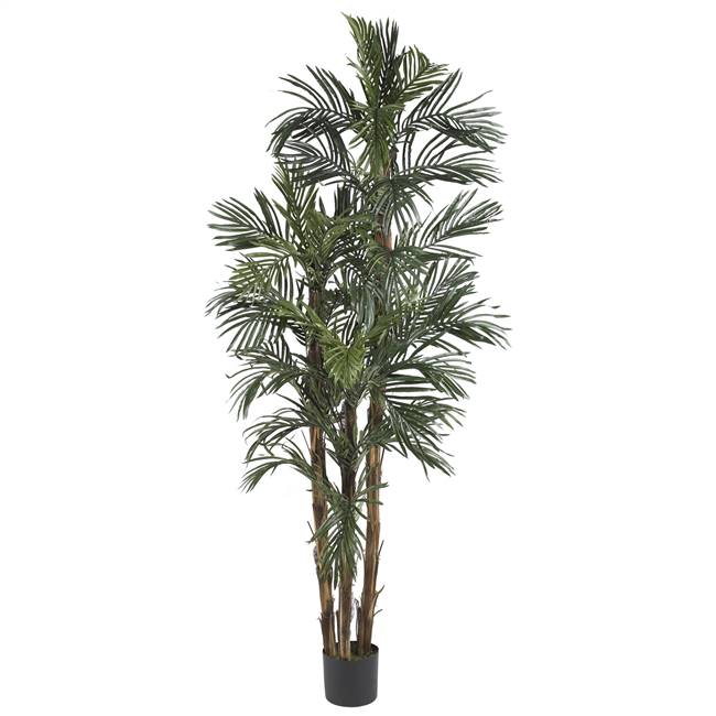 6' Robellini Palm Silk Tree