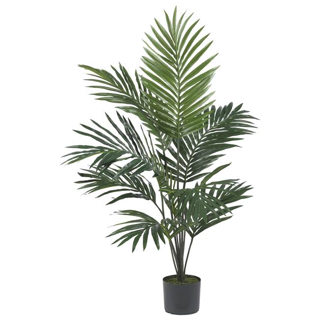 5' Kentia Palm Silk Tree