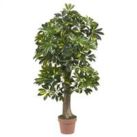 4’ Schefflera Silk Tree (Real Touch)