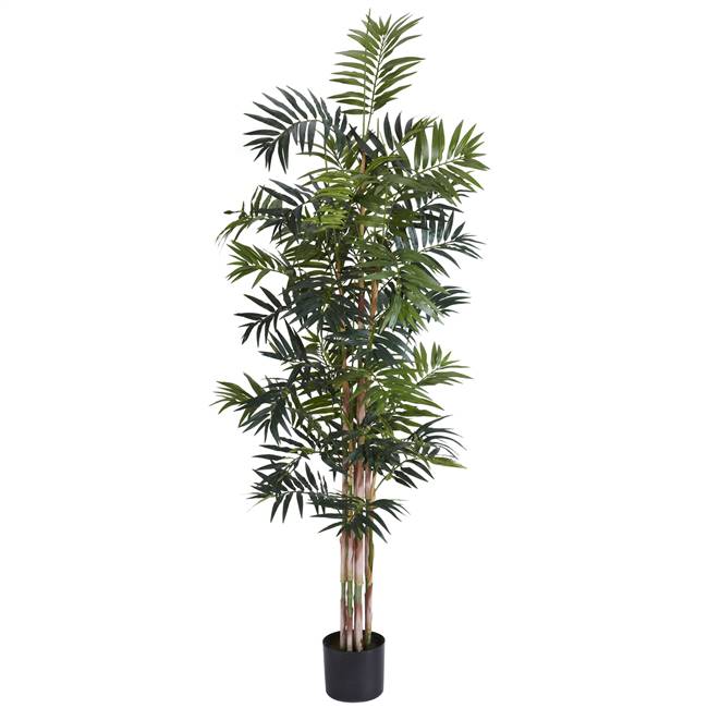 6' Bamboo Palm Silk Tree