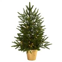 2.5’ Christmas Tree w/Golden Planter & Clear Lights