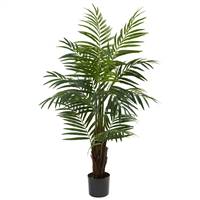 4’ Areca Palm Tree