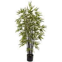 4’ Black Bamboo Tree