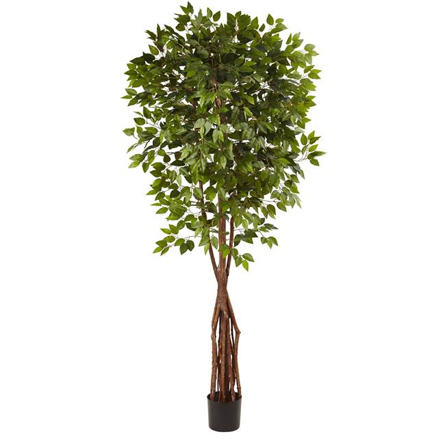 7.5’ Super Deluxe Ficus Tree