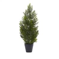 2’ Mini Cedar Pine Tree (Indoor/Outdoor)