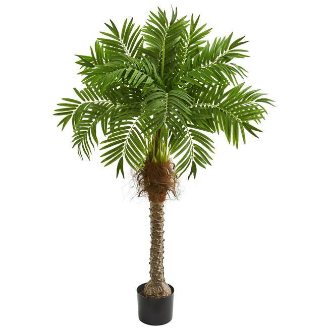 58” Robellini Palm Artificial Tree