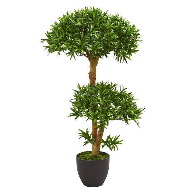 3' Bonsai Styled Podocarpus Artificial Tree