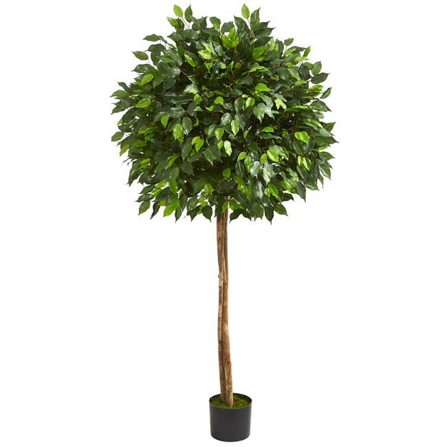 5.5' Ficus Artificial Tree