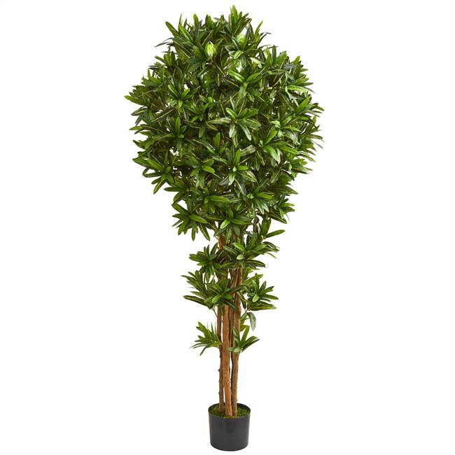 6' Dracaena Artificial Tree