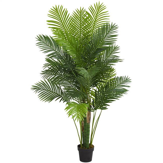 6' Hawaii Palm Artificial Tree