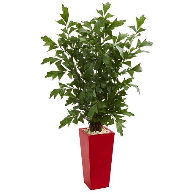 4.5' Fishtail Artificial Palm Tree in Red Planter