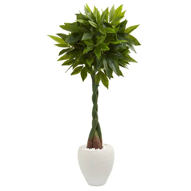 5’ Money Artificial Tree in White Oval Planter (Real Touch