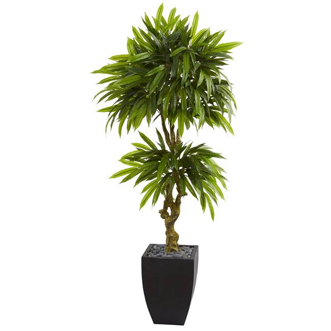 5.5’ Mango Artificial Tree in Black Wash Planter UV Resistant (Indoor/Outdoor)