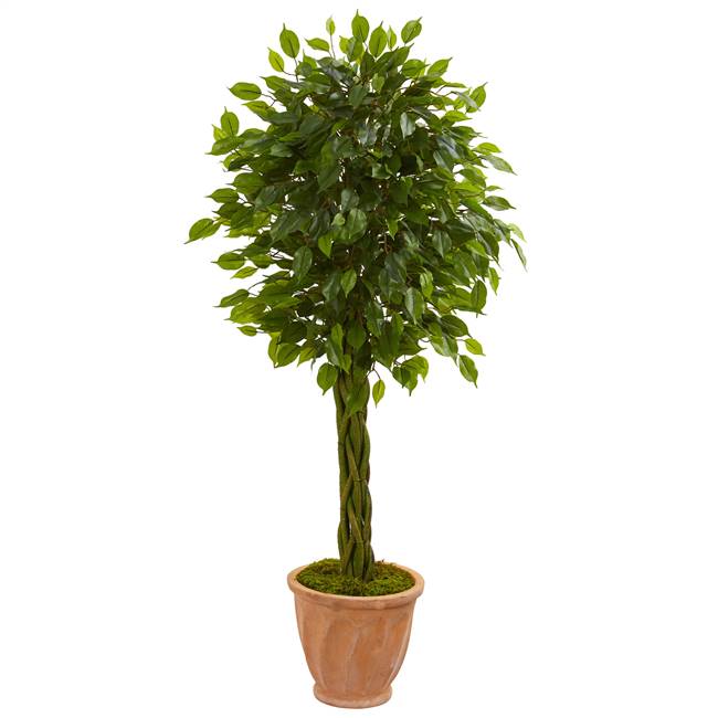 4’ Braided Ficus Artificial Tree in Terracotta Planter UV Resistant (Indoor/Outdoor)