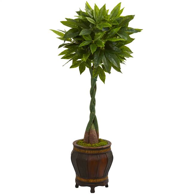 5’ Money Artificial Tree in Decorative Planter (Real Touch)