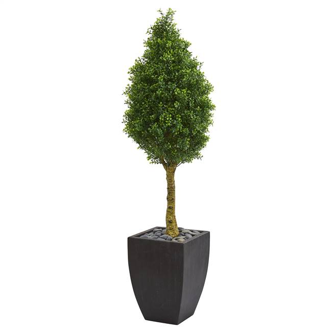 5’ Boxwood Cone Artificial Tree in Black Wash Planter UV Resistant (Indoor/Outdoor)
