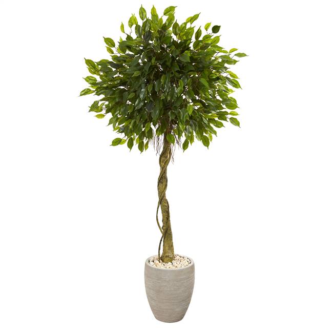 5.5’ Ficus Artificial Tree in Oval Planter UV Resistant (Indoor/Outdoor)