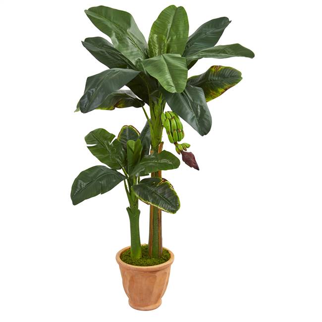 5’ Double Stalk Banana Artificial Tree in Terracotta Planter