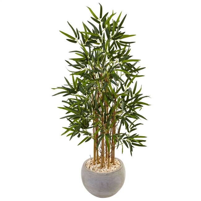 4’ Bamboo Tree in Sand Colored Bowl