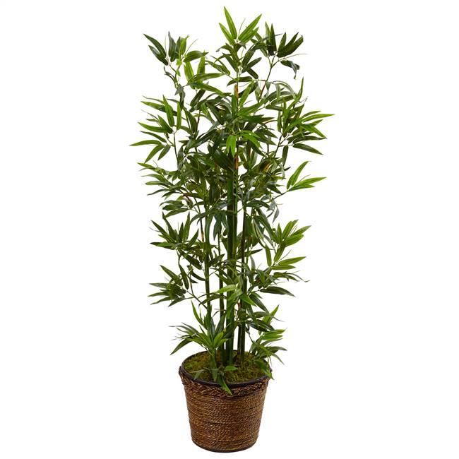 4’ Bamboo Tree in Coiled Rope Planter